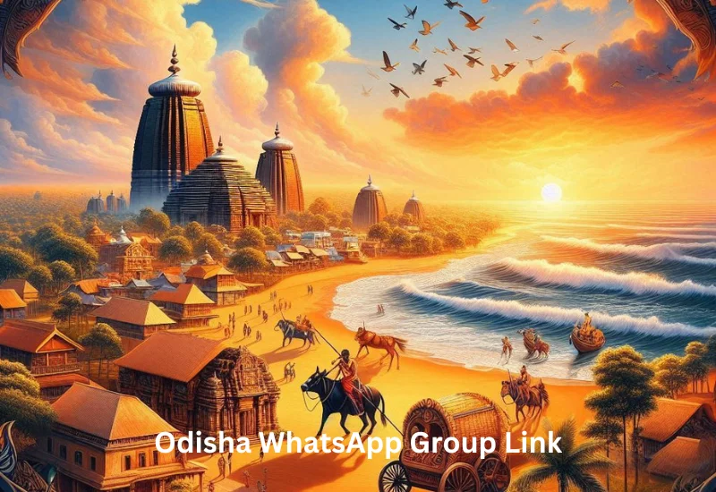 Odisha WhatsApp Group Link