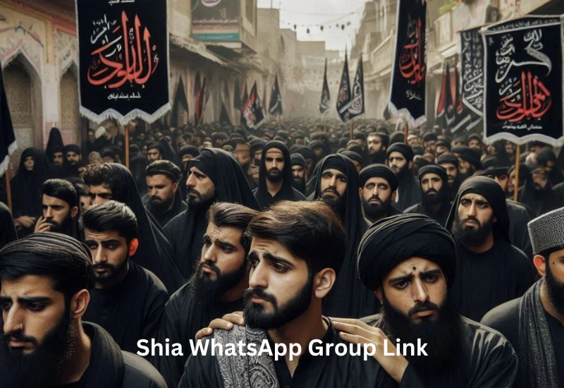 Shia WhatsApp Group Link